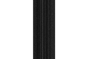 Ковровая плитка Interface Silver Linings SL920 104511 Black Line фото  | FLOORDEALER